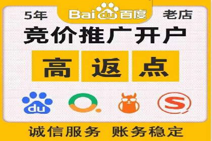百度推广排名提升方案：某科技公司的成功经验
